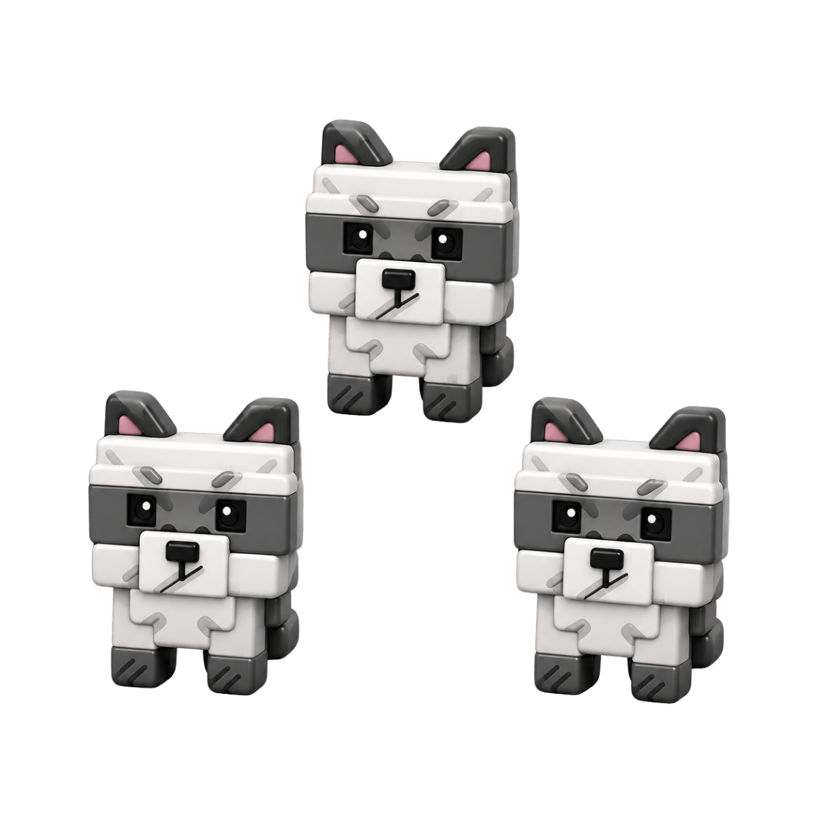 3 Raccoon