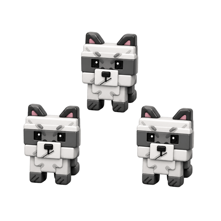 3 Raccoon