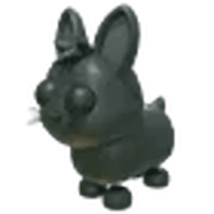 Amami Rabbit