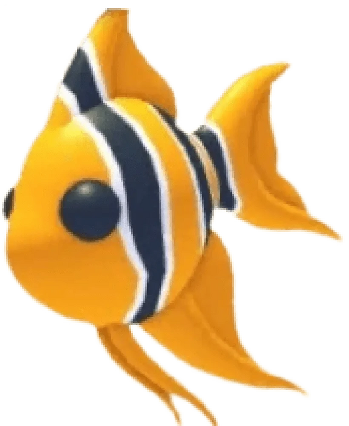 Angelfish