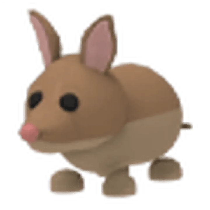 Bandicoot