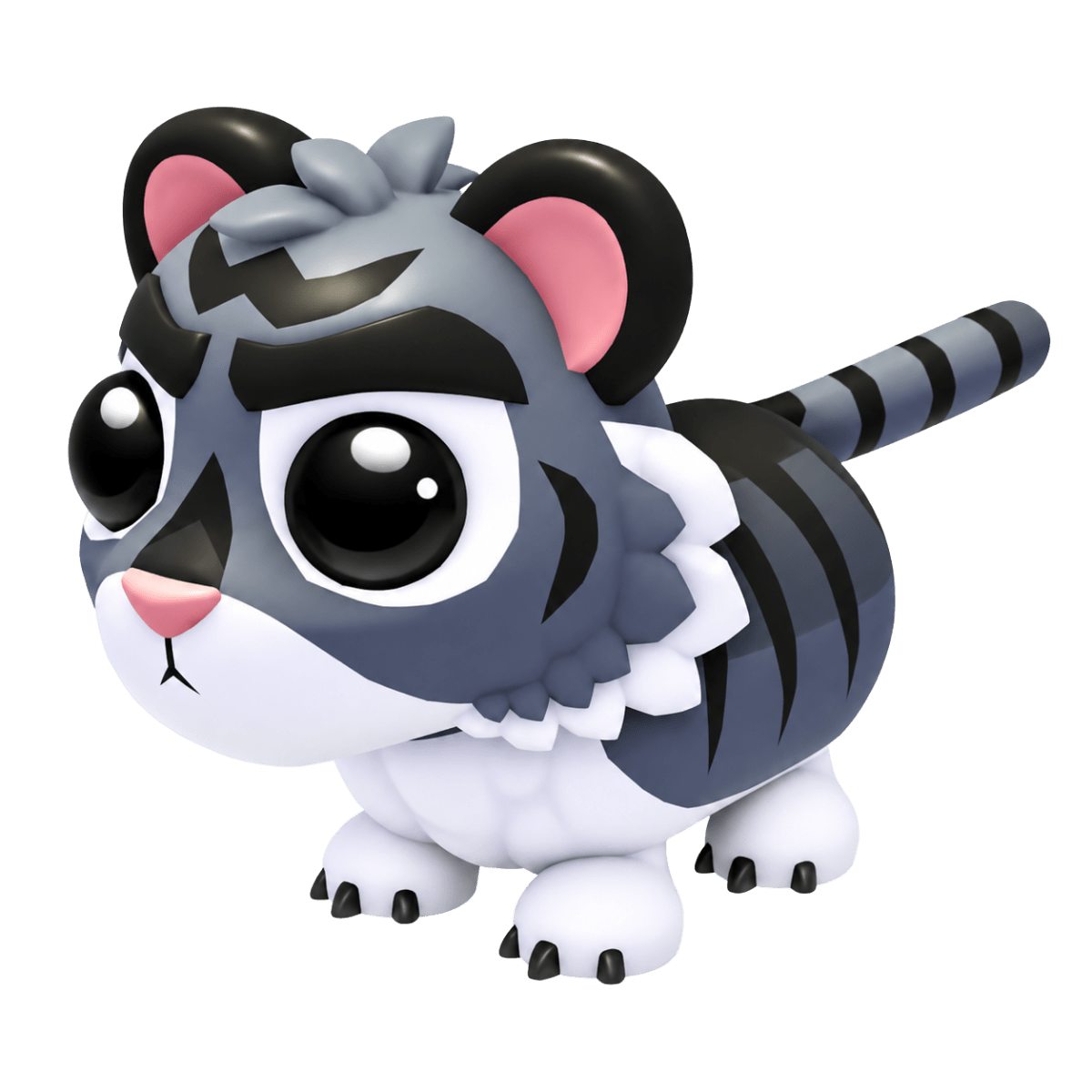 NFR Black Tiger
