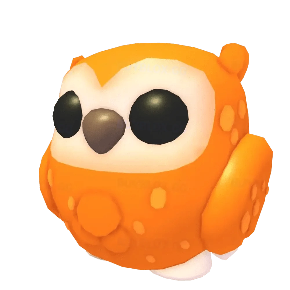 Clementine Owl