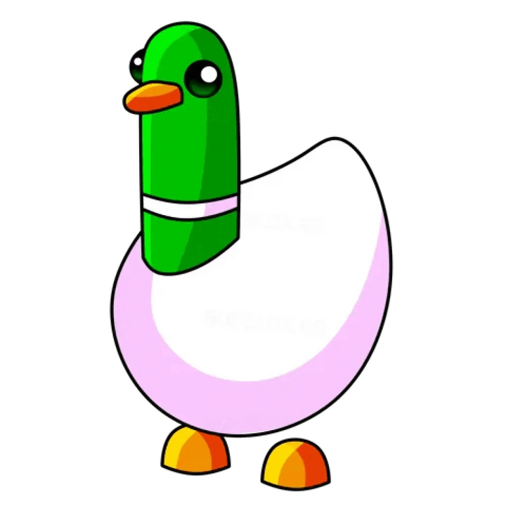 Silly Duck