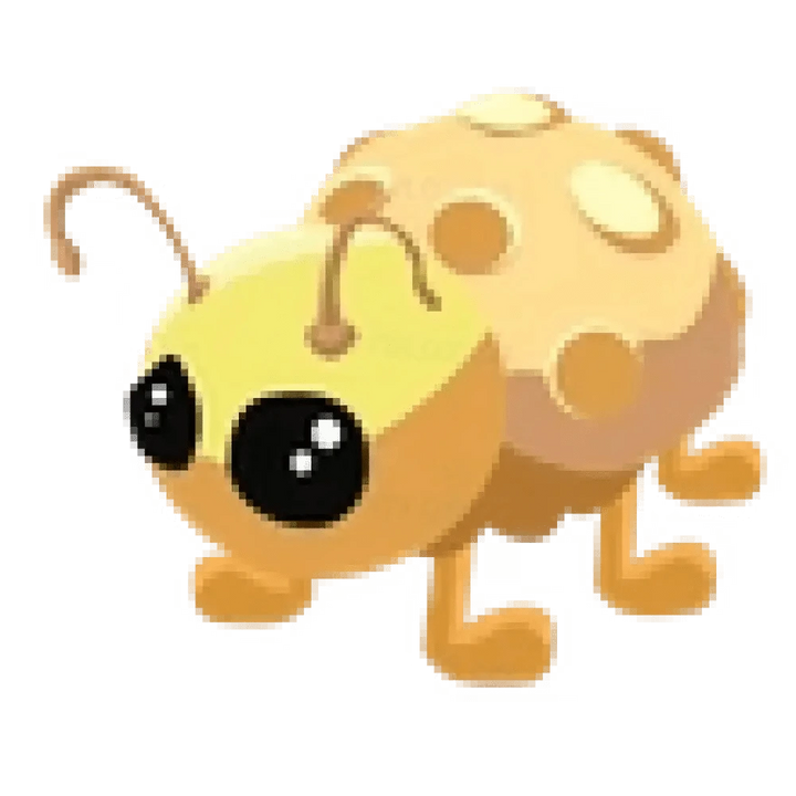 Golden Ladybug