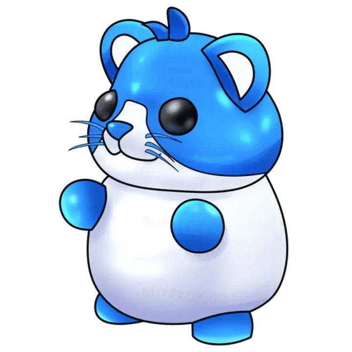 Hamster