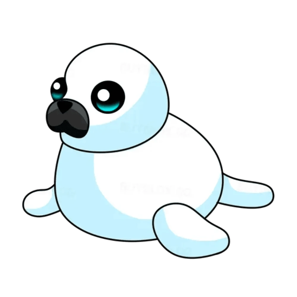 Harp Seal