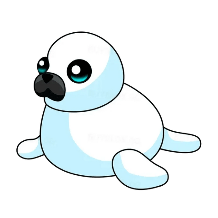 Harp Seal