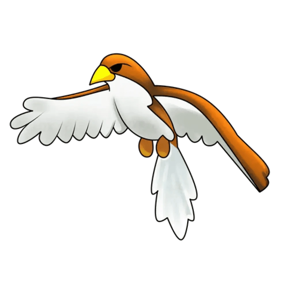 Hawk