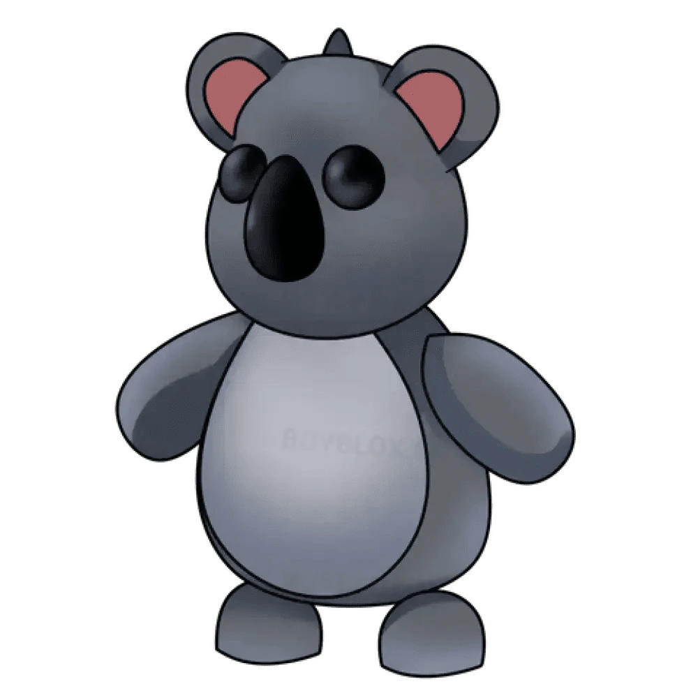 Koala