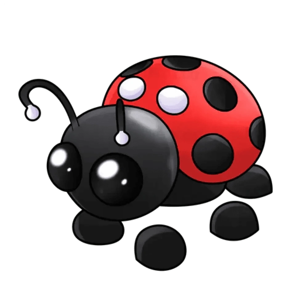 Ladybug