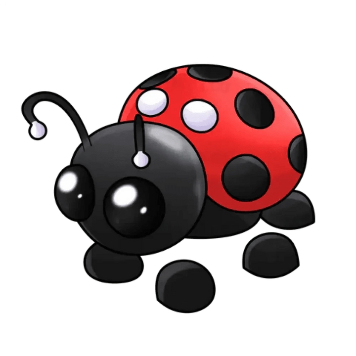 Ladybug