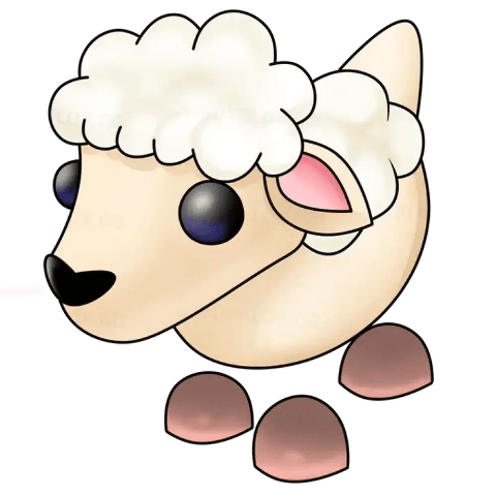 Lamb