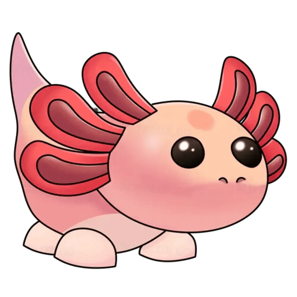 MFR Axolotl