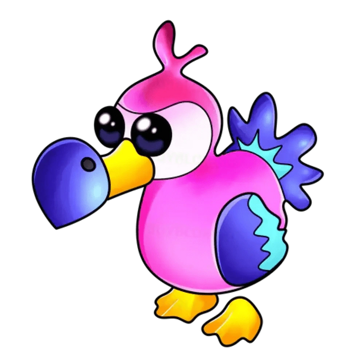 MFR Dodo