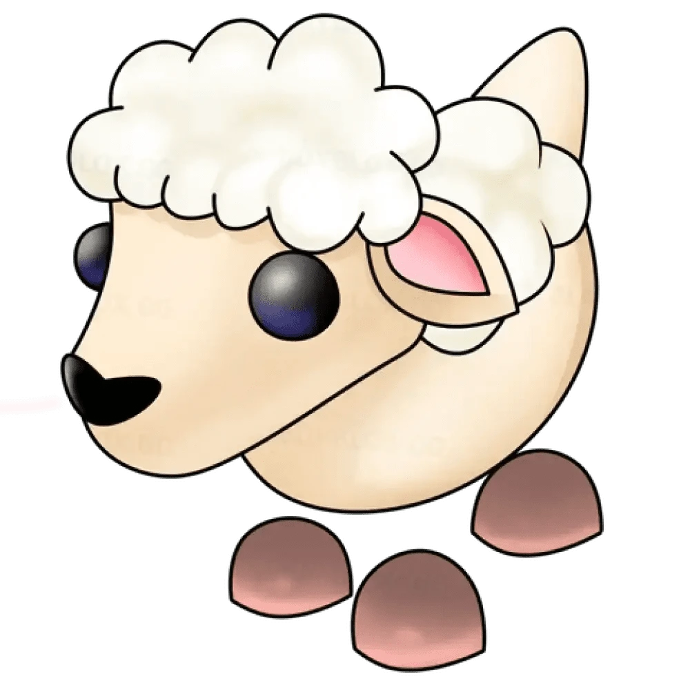 MFR Lamb