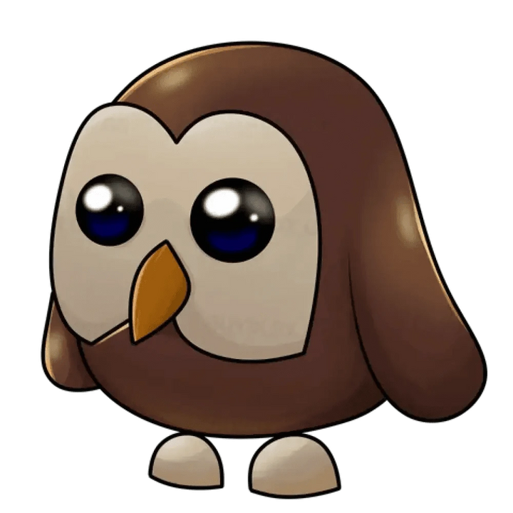 MFR Owl