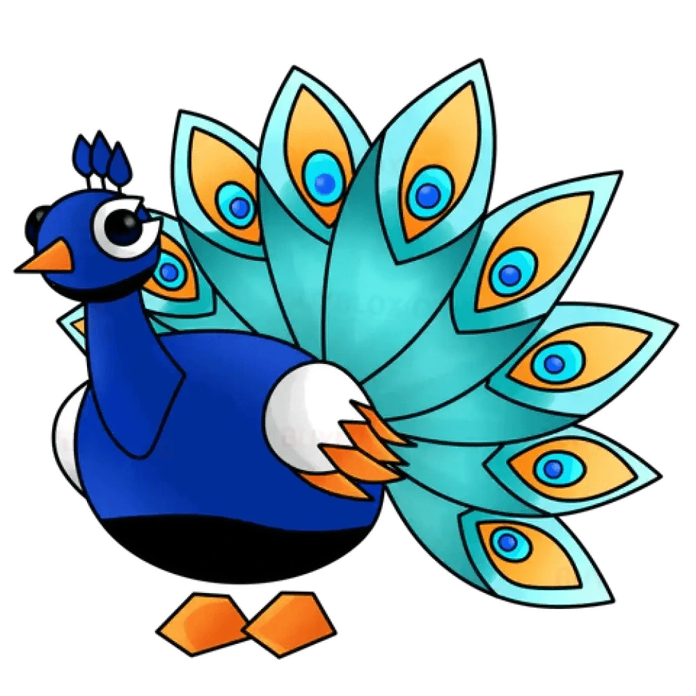 MFR Peacock