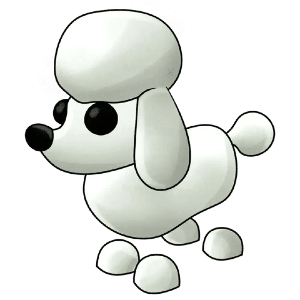 MFR Poodle