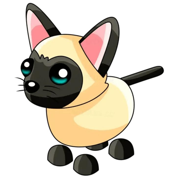 MFR Siamese Cat