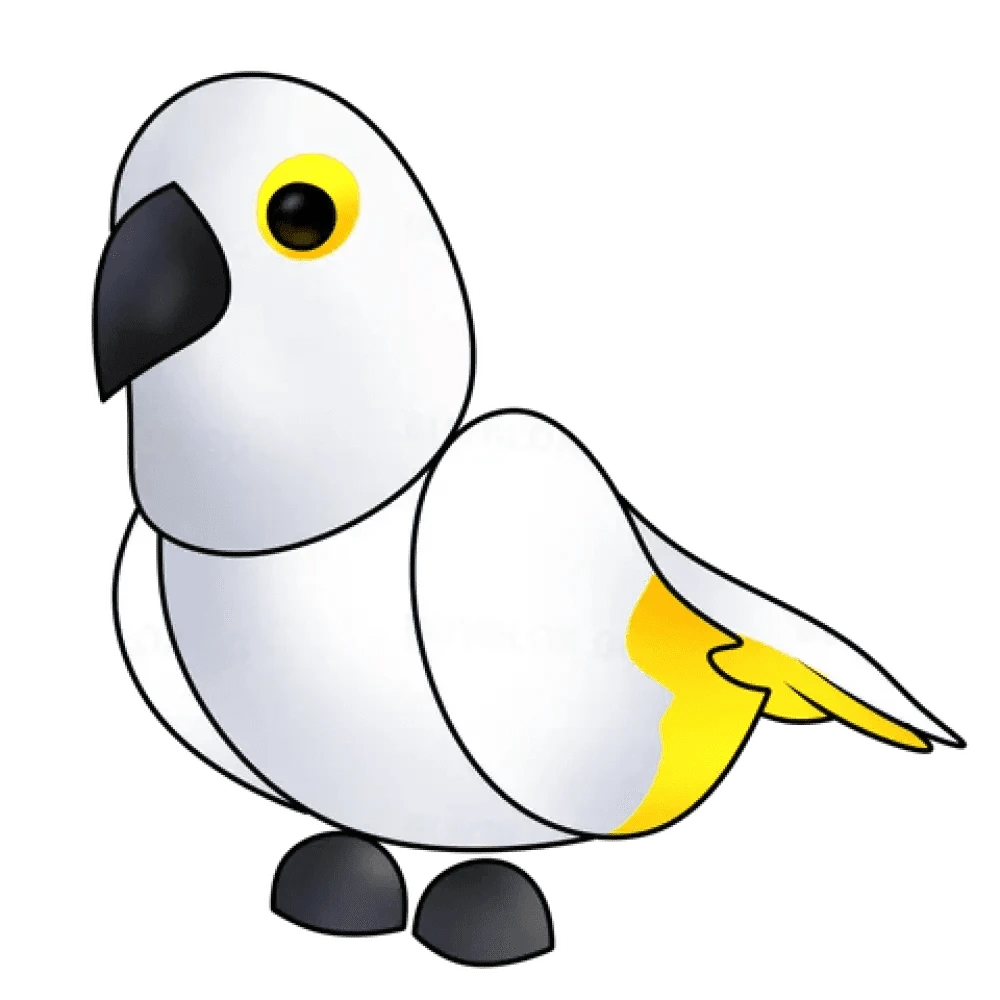 MFR White Amazon