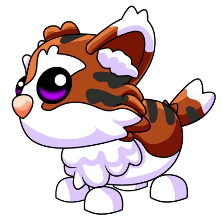 Munchkin Cat