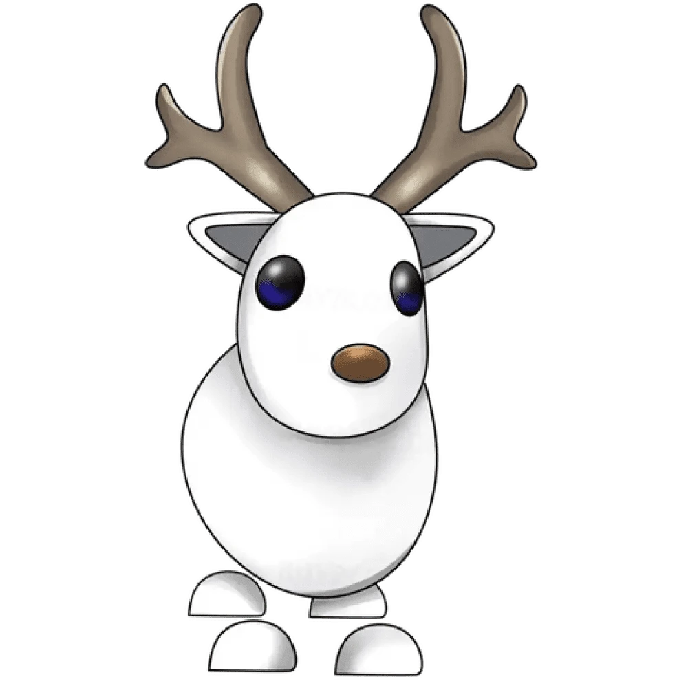 NFR Arctic Reindeer