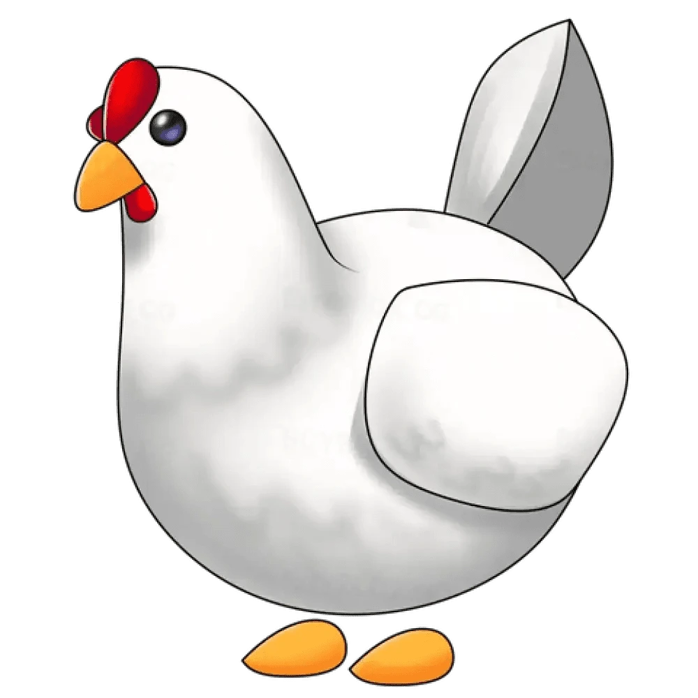 NFR Chicken