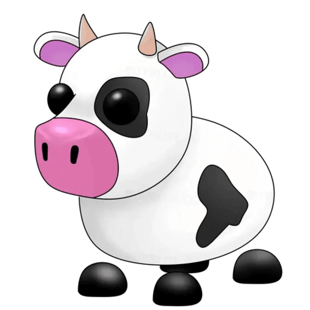 NFR Cow