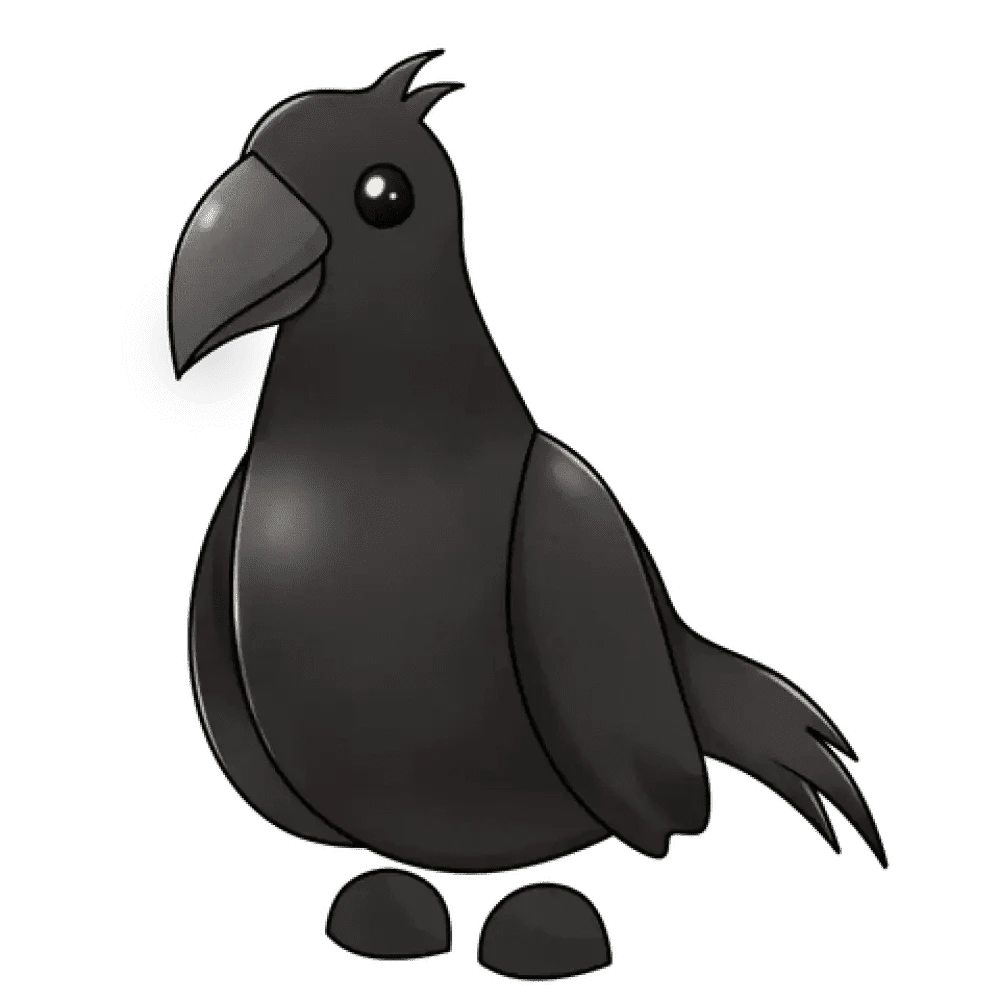 NFR Crow