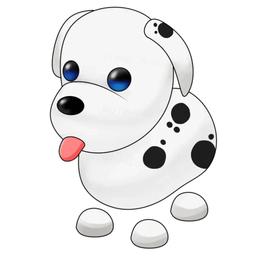 NFR Dalmatian