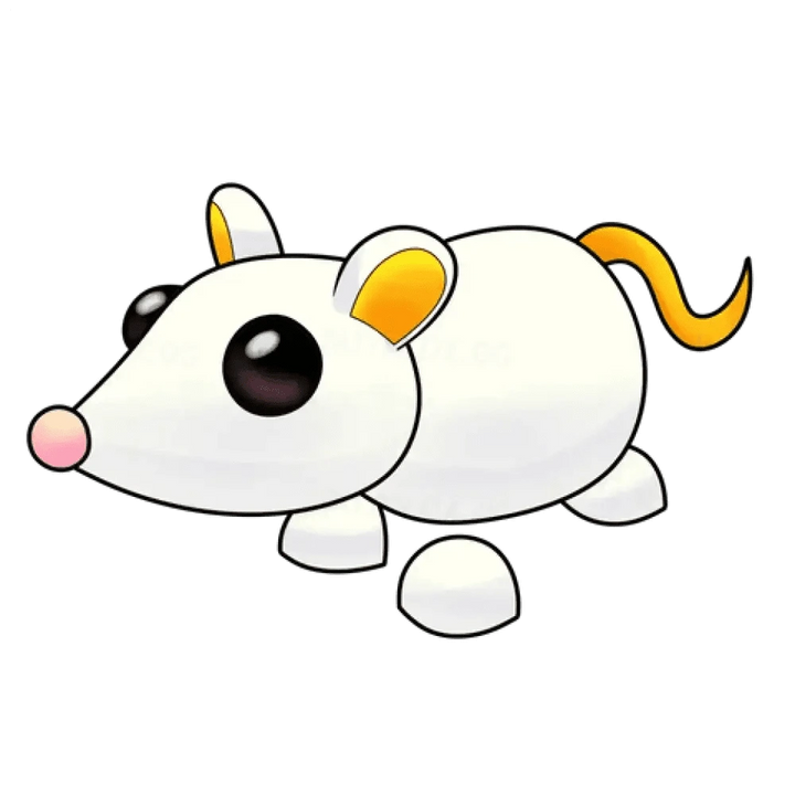 NFR Golden Rat