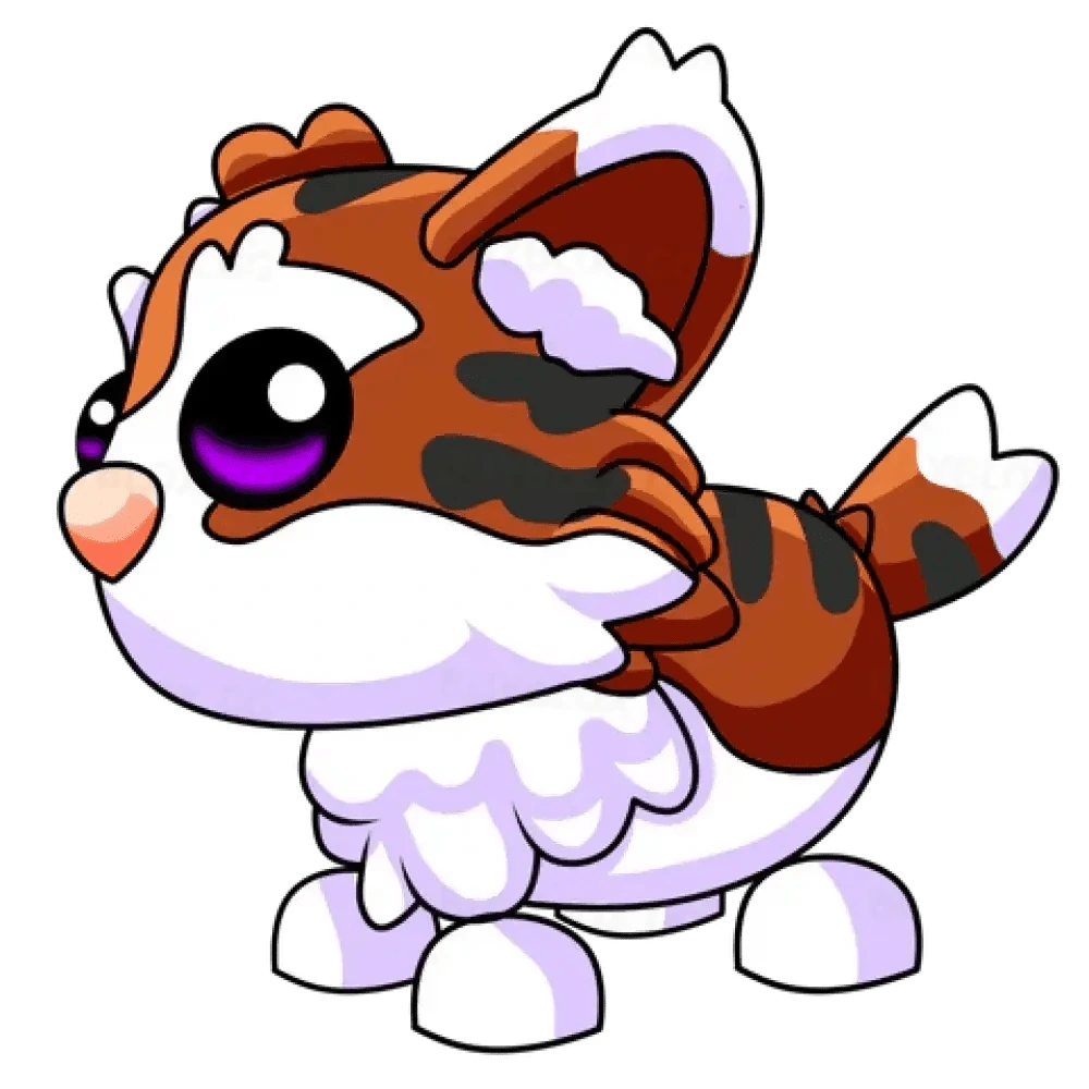 NFR Munchkin Cat