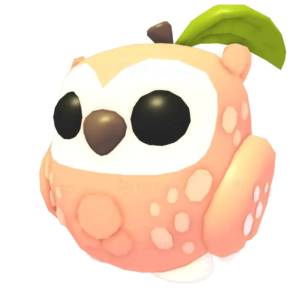 NFR Peach Owl