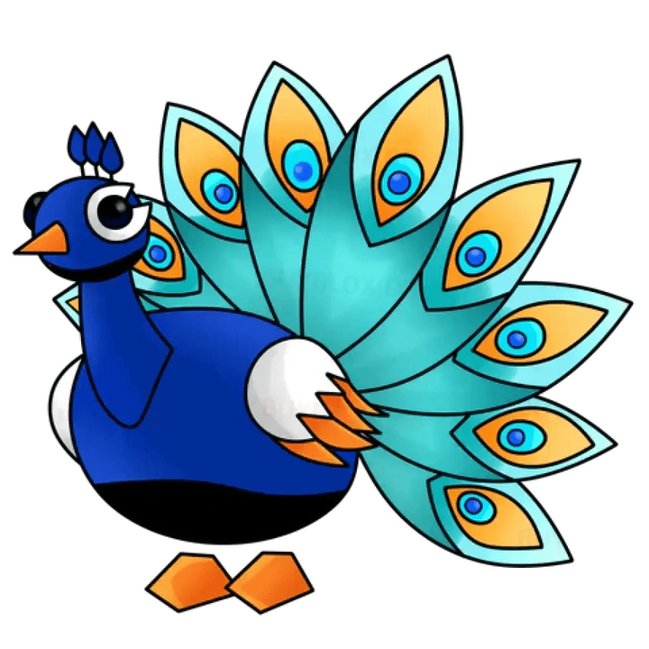 NFR Peacock