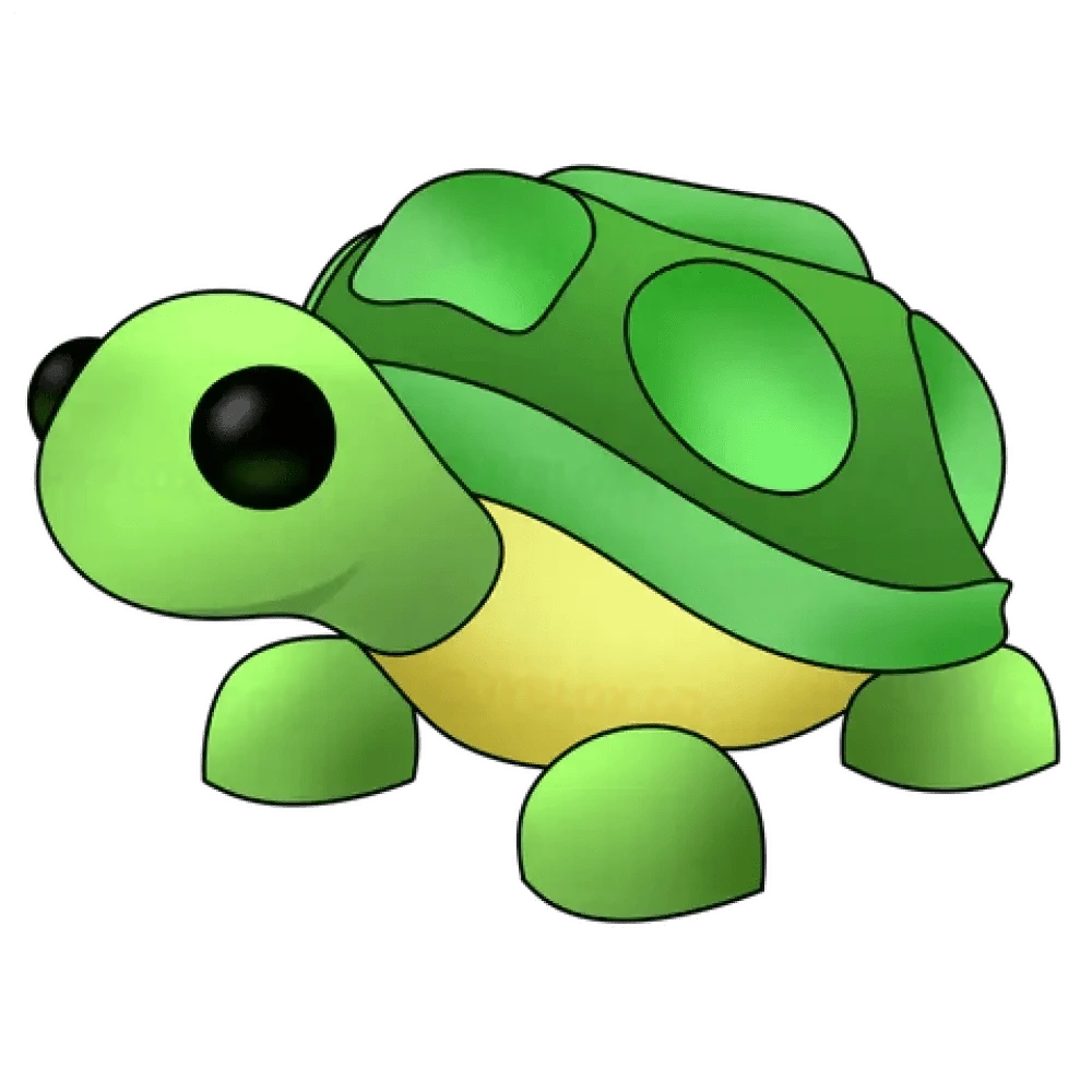 NFR Turtle