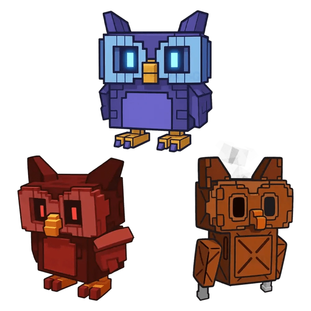 Owl Bundle