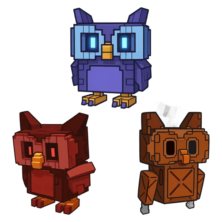 Owl Bundle