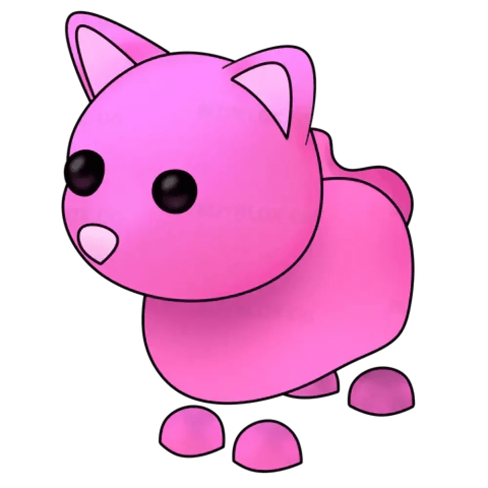 Pink Cat