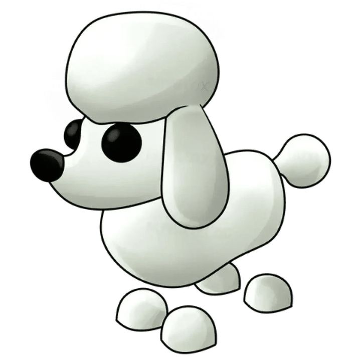 Poodle