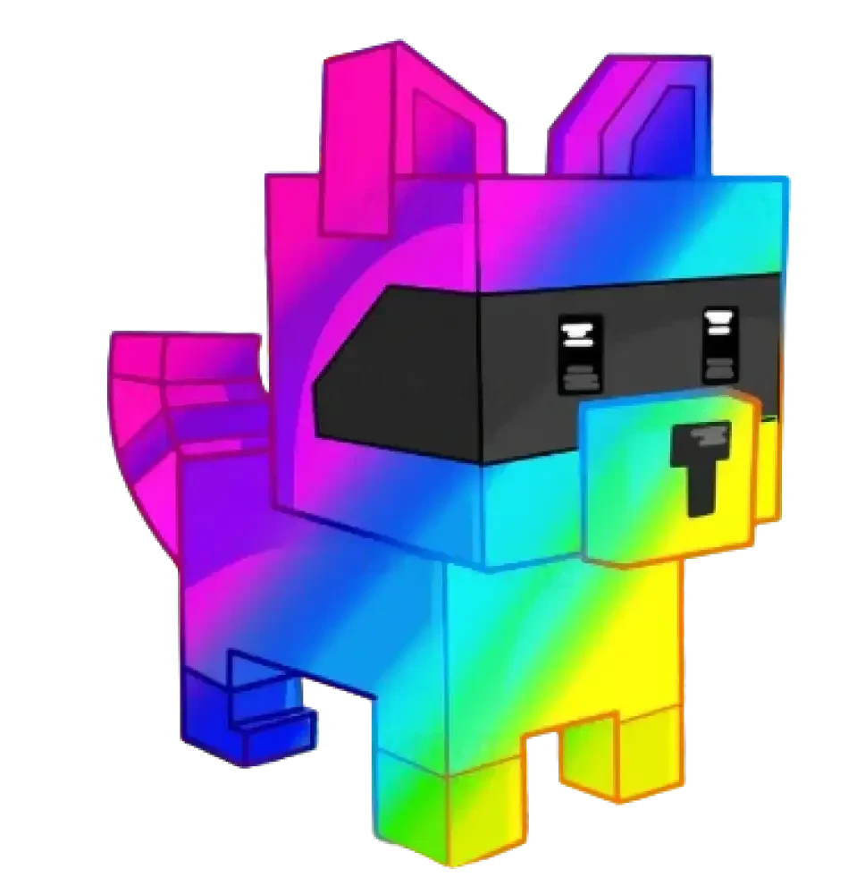 Rainbow Raccoon