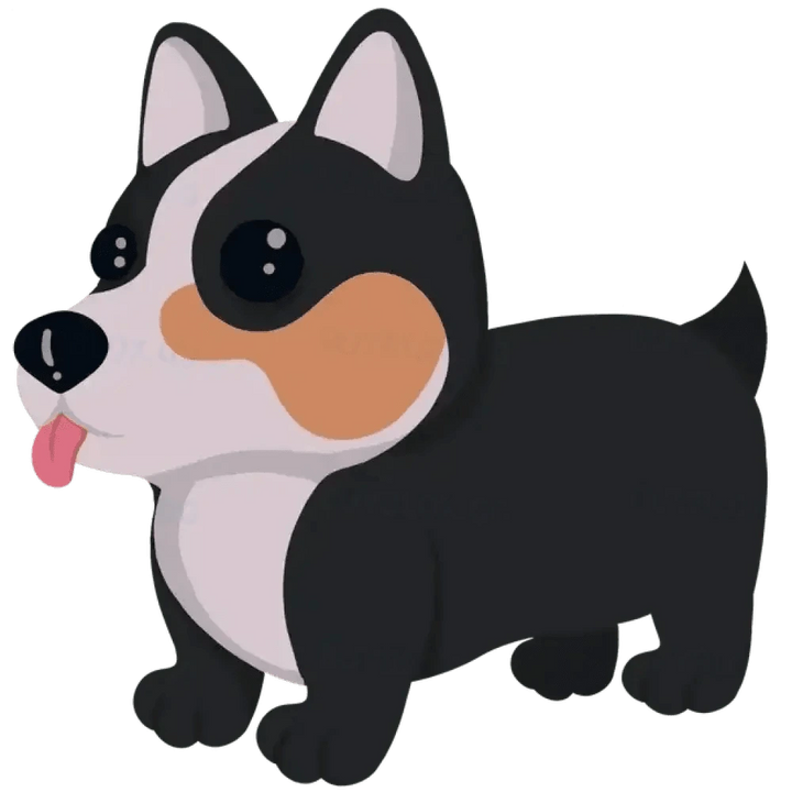 Royal Corgi