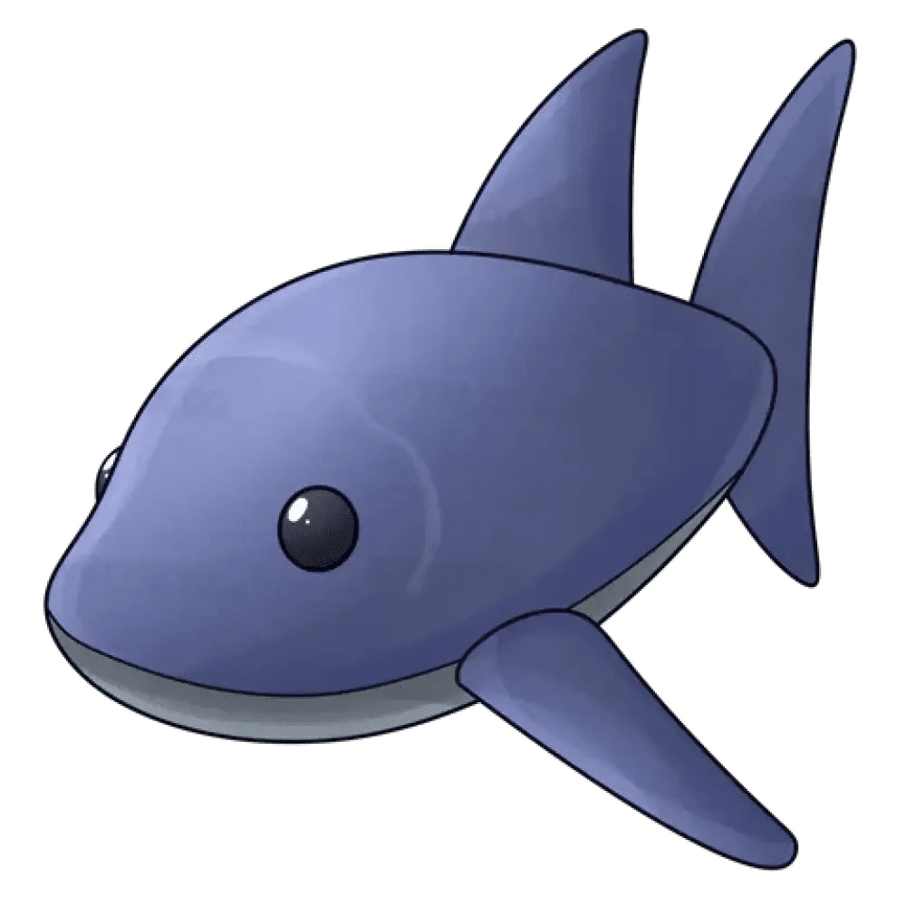 Shark