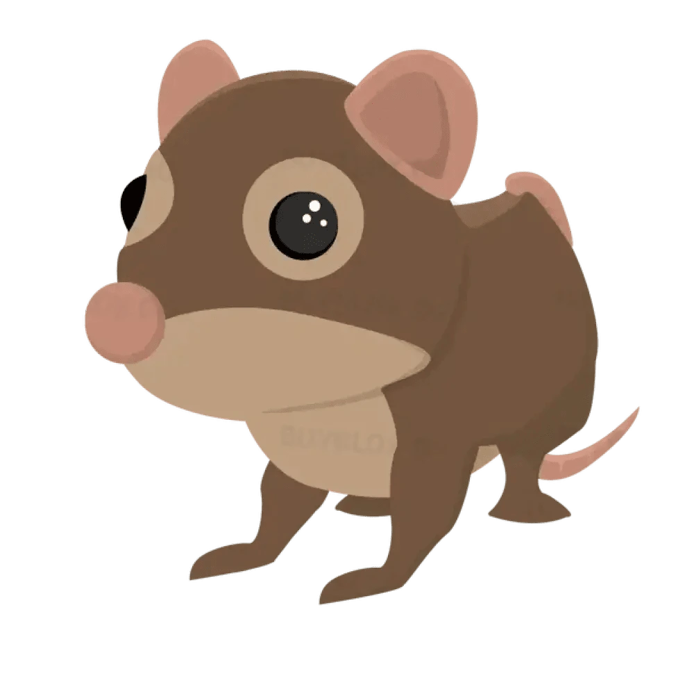 Shrew