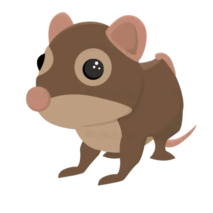 Shrew