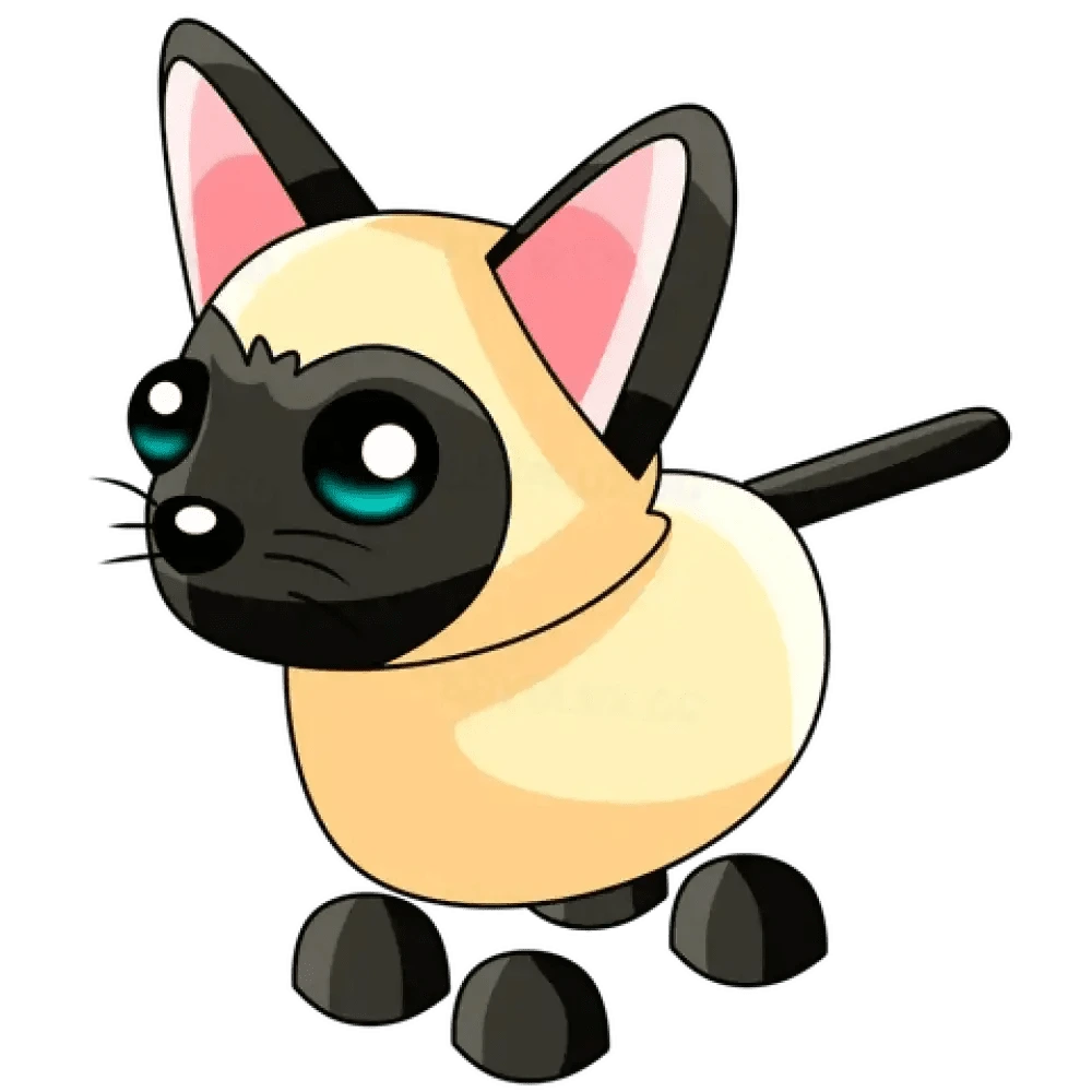 Siamese Cat