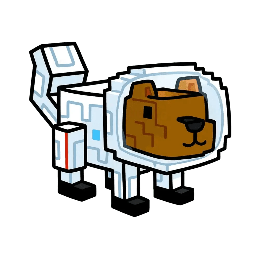 Space Squirrel