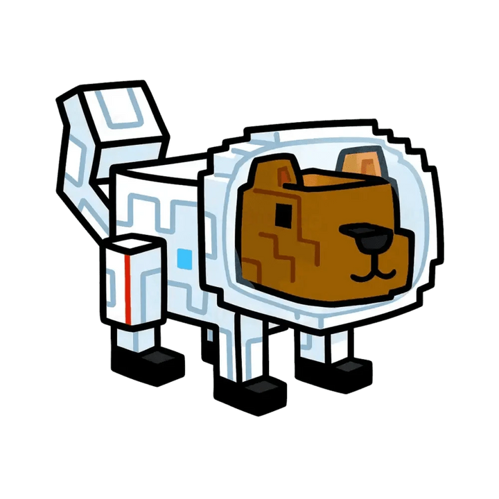 Space Squirrel