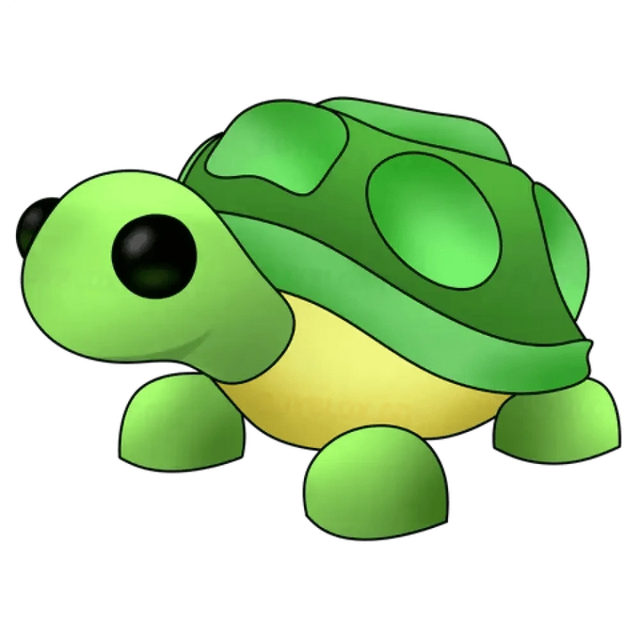 Turtle