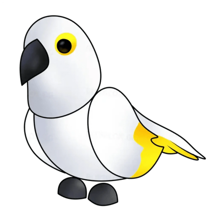 White Amazon